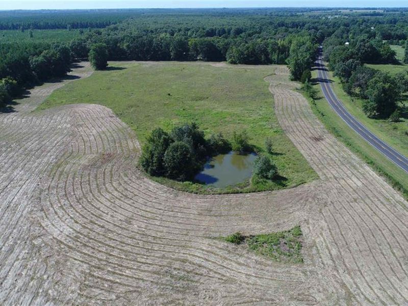 Open Pasture with Hardwoods : Avery : Red River County : Texas