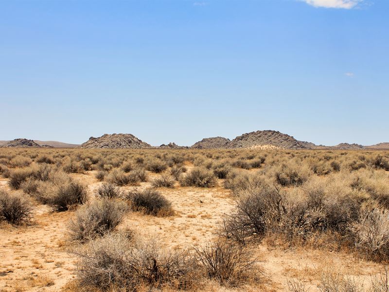 Breaking Badder : Lockhart : San Bernardino County : California