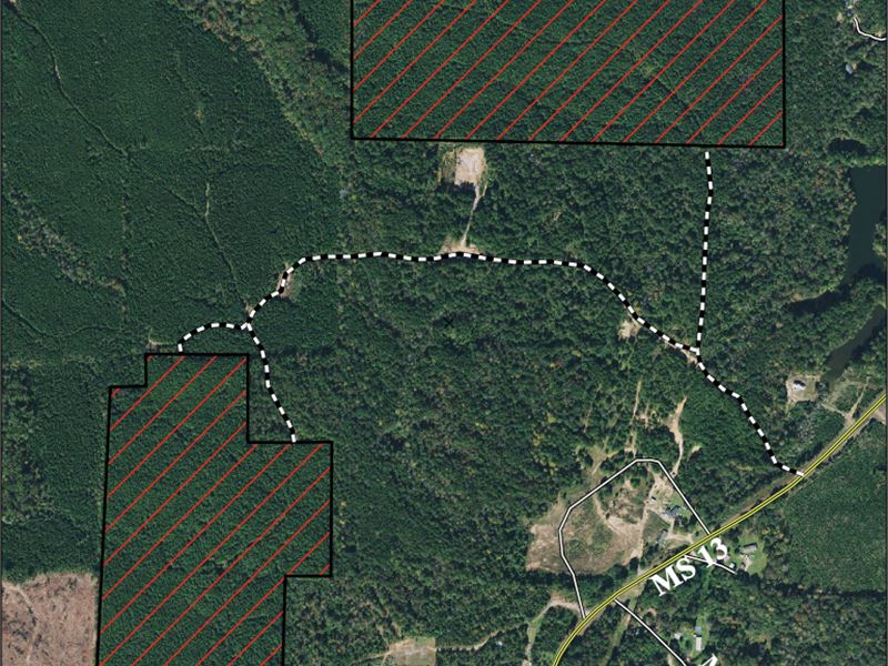 Rodgers Trust 148 : Morton : Scott County : Mississippi