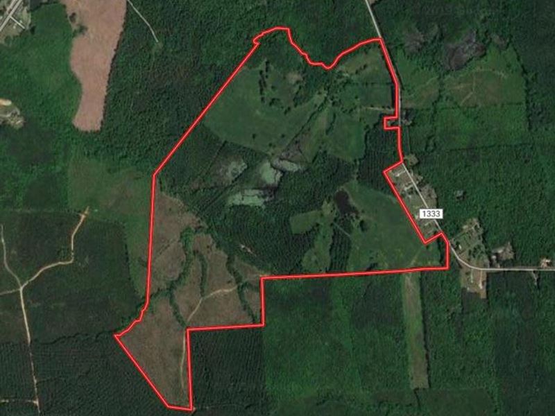 271.86 Acres : Hollister : Halifax County : North Carolina