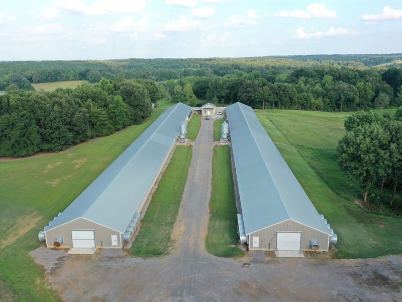 Rocky Top Breeder Farm : Dresden : Weakley County : Tennessee