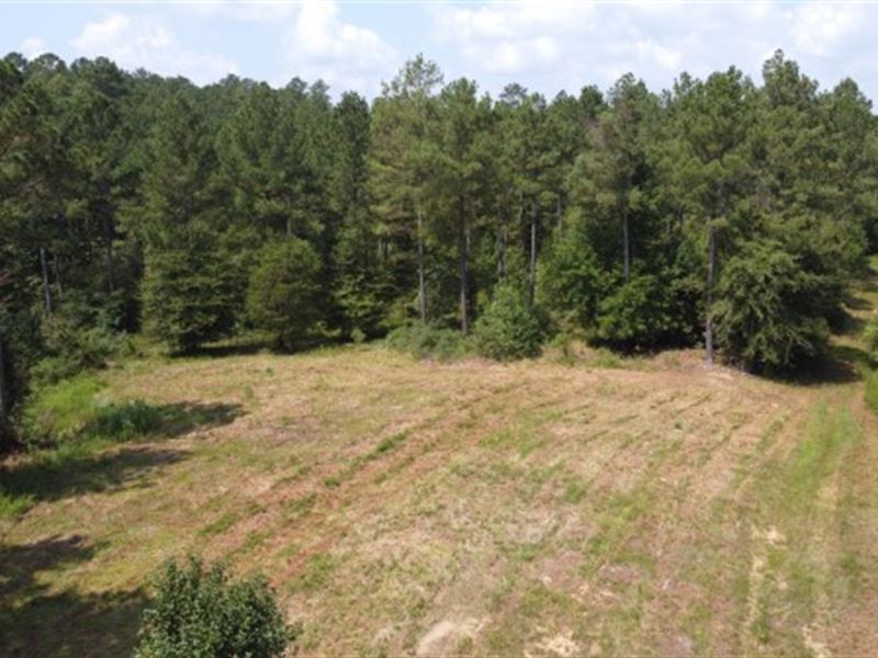 Timber, Hunting, Homesite Property : Blair : Fairfield County : South Carolina