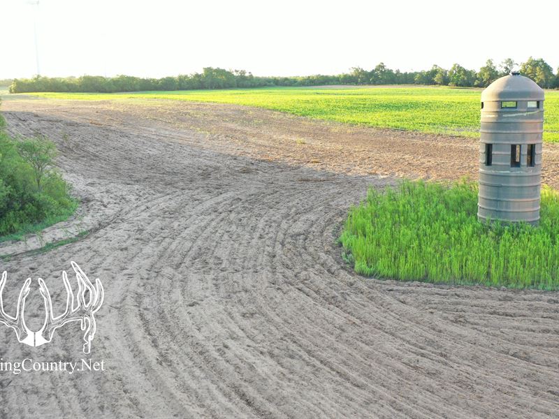 363 Acres M/L Kingman County, KS : Nashville : Kingman County : Kansas