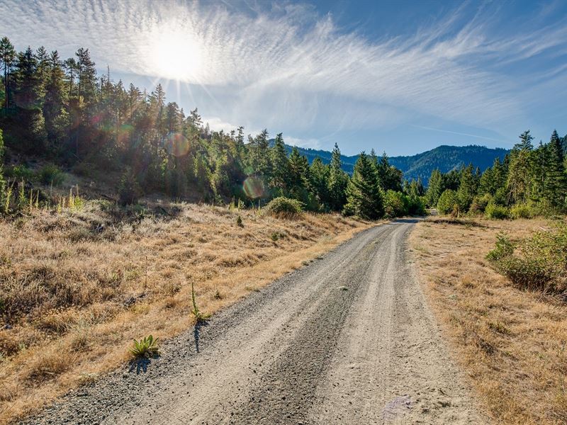 Ninemile Creek 160 : Applegate : Jackson County : Oregon