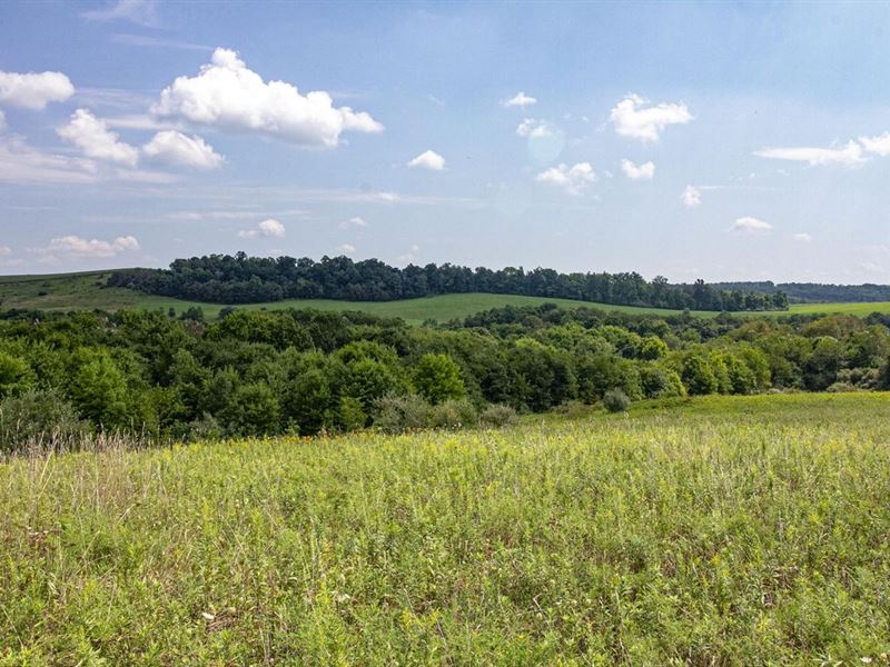 Watson Rd, 196 Acres, Columbiana : Kensington : Columbiana County : Ohio