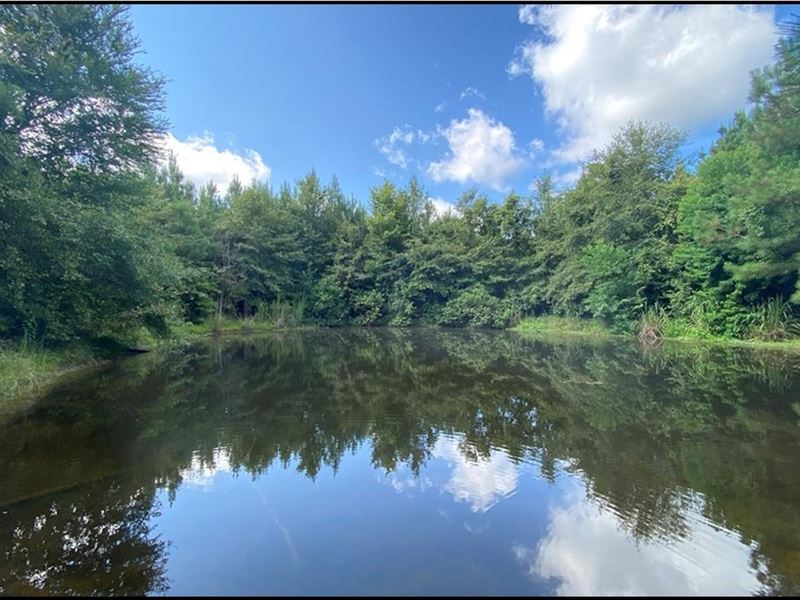 46.2 Acres in Copiah County in Wess : Wesson : Copiah County : Mississippi
