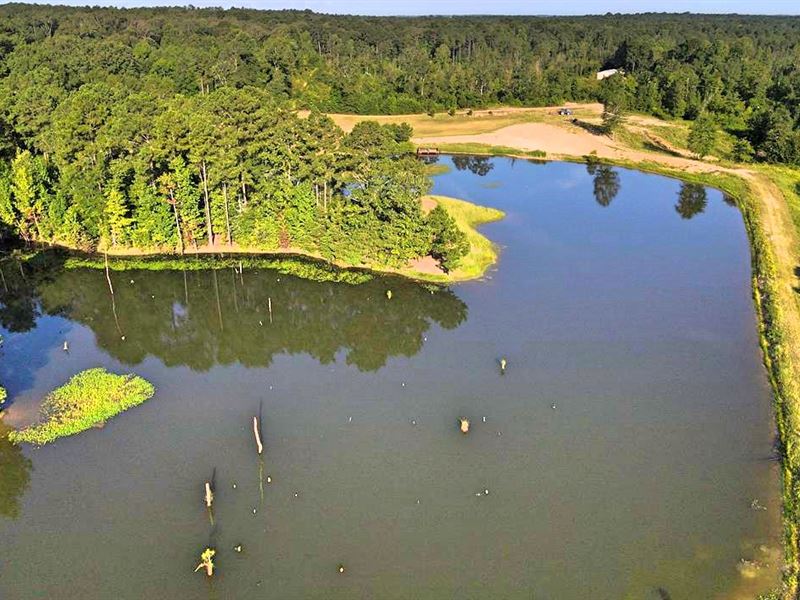 716 Acres Land for Sale On The Big : Woodville : Wilkinson County : Mississippi