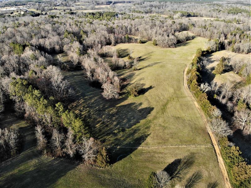 Acreage with Pond, Creek, & Pasture : Fairmount : Gordon County : Georgia