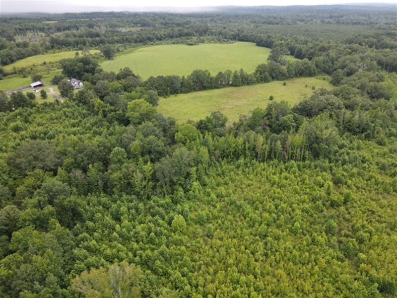 Woods Creek Tract : Yantley : Choctaw County : Alabama