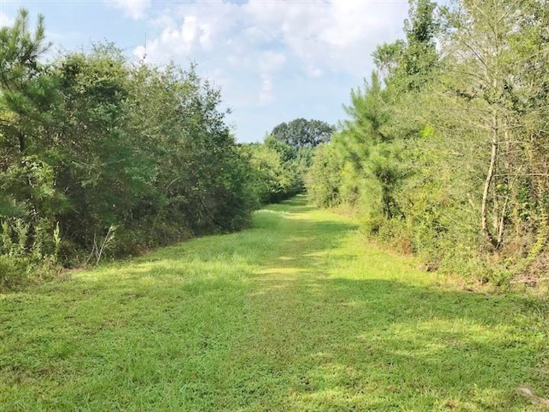13.3 Acres-Tom Warner Rd : Tylertown : Union County : Mississippi