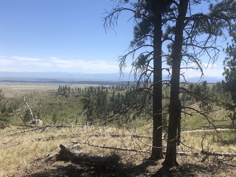 Dry Hole 20 : Reed Point : Stillwater County : Montana