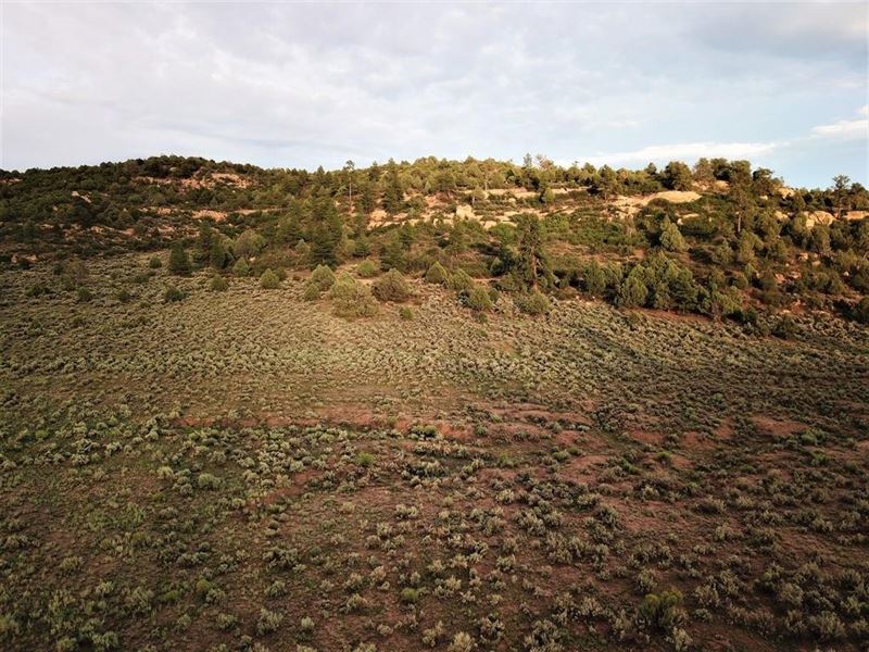 Jicarilla Ranch : Dulce : Rio Arriba County : New Mexico