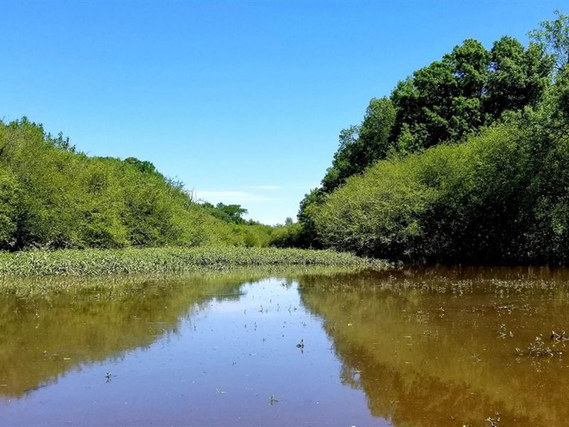 Cynthia Bayou Levee Tract, Concordi : Monterey : Concordia Parish : Louisiana