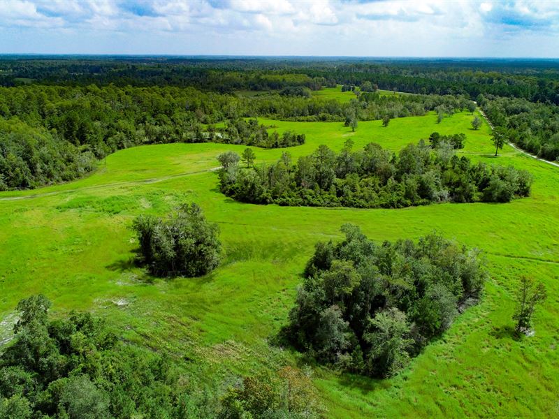 Seven Bridges Ranch 1,138 Ac FL : Greenville : Madison County : Florida