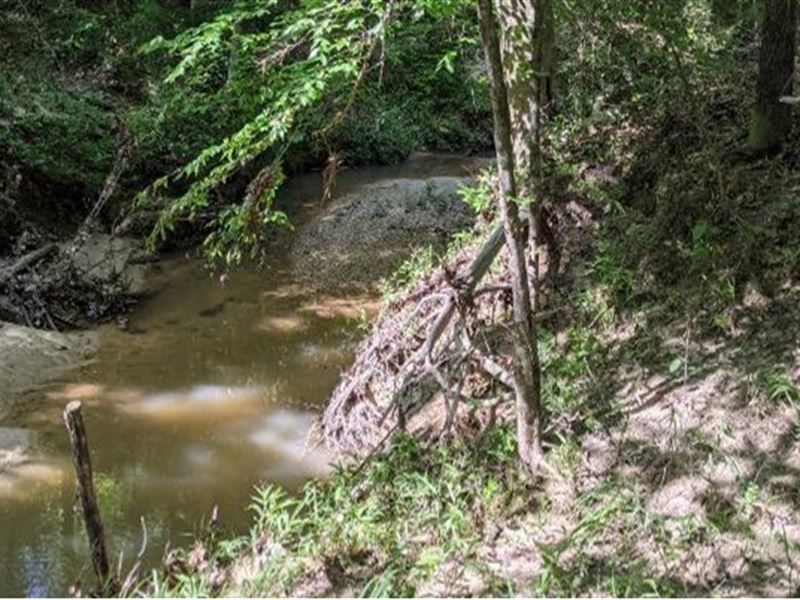 204 Acres in Lawrence County in Mon : Monticello : Lawrence County : Mississippi