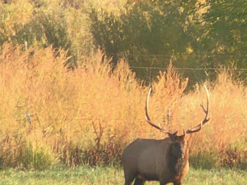 E. Oregon Year Round Grazing Ranch : Dayville : Grant County : Oregon