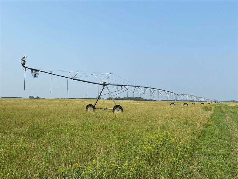 160 Acres Holt County, Nebraska : Stuart : Holt County : Nebraska
