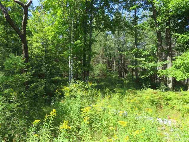 800 +/- Acres Recreational : Hermansville : Menominee County : Michigan