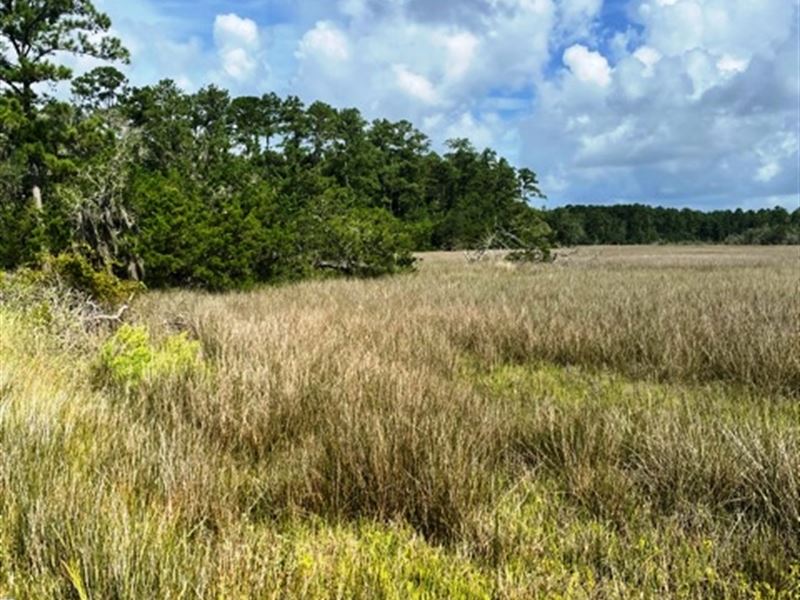 McIntosh 181 Tract, Marsh View : Townsend : McIntosh County : Georgia