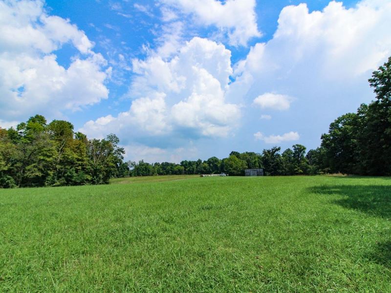 Wilsonwood Rd Tract 2, 12 Acres : Blue Rock : Muskingum County : Ohio