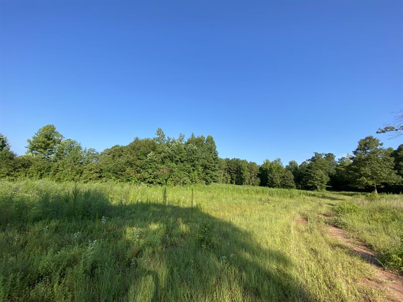 28 Ac, Waverly, AL : Waverly : Chambers County : Alabama