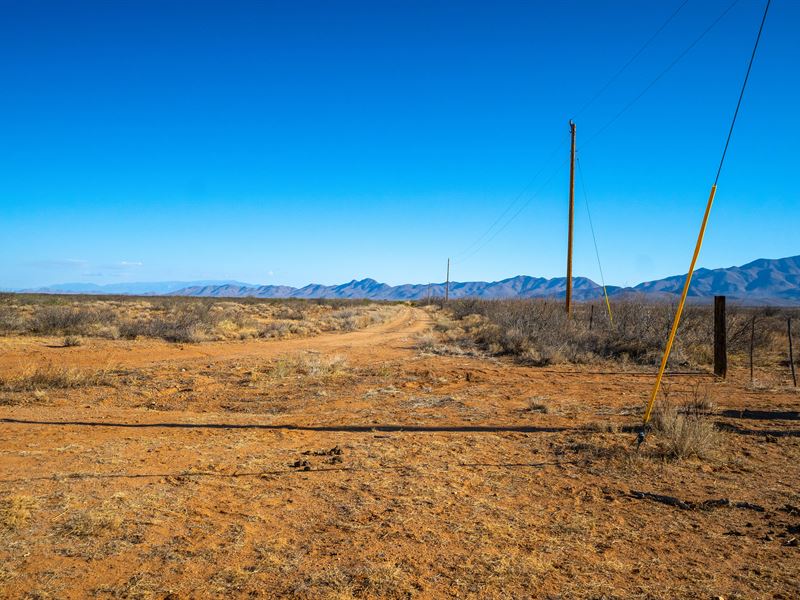 Serene 10 Acre Parcel, Willcox, AZ : Willcox : Cochise County : Arizona