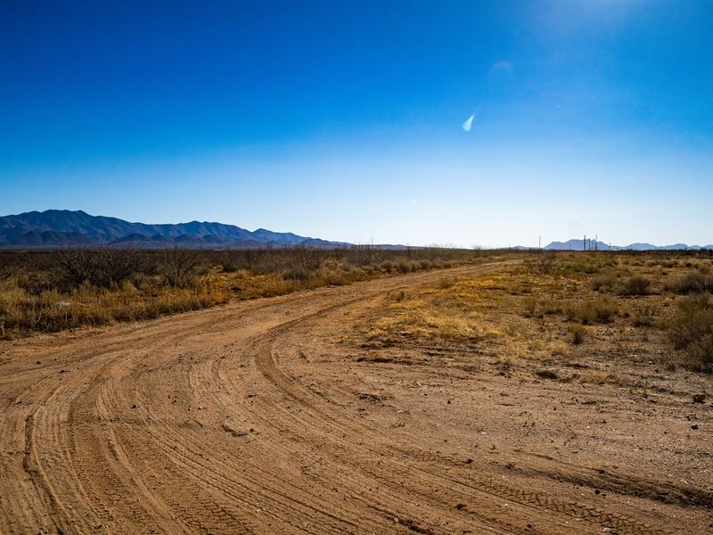 Spacious 20 Acre Parcel in Willcox : Willcox : Cochise County : Arizona