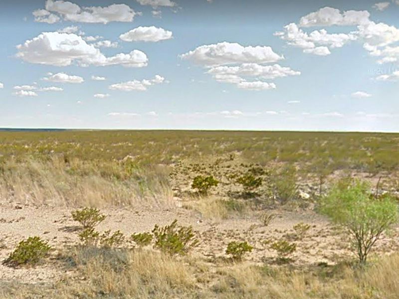 Adjoining Lots, 20 Ac Each, $0 Down : Cornudas : Hudspeth County : Texas