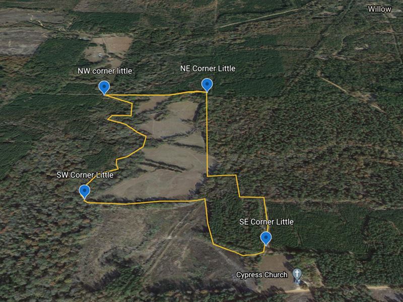 68 Hunting Acres : Willow : Dallas County : Arkansas
