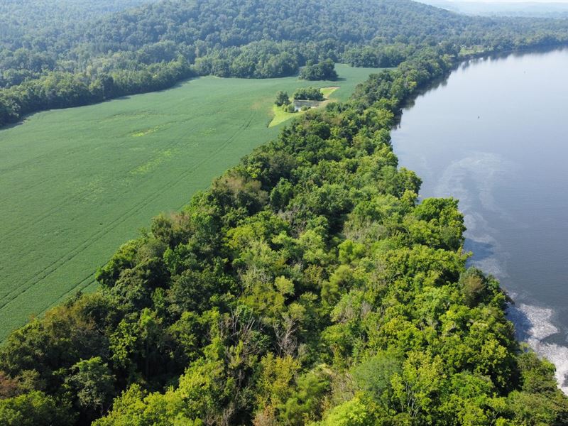 Willow Oaks River Farm : Decatur : Meigs County : Tennessee