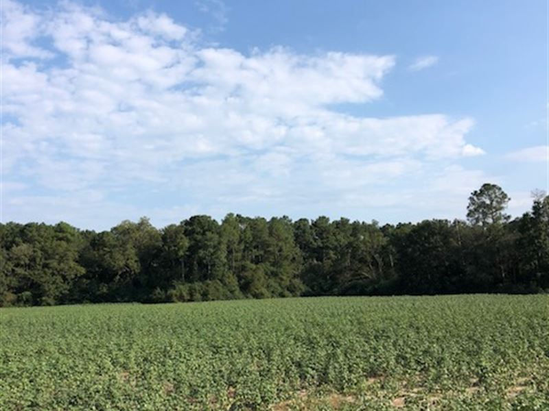 Harville Road : Statesboro : Bulloch County : Georgia