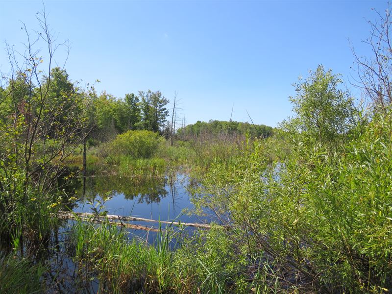 160 +/- Acres with River : Hermansville : Menominee County : Michigan