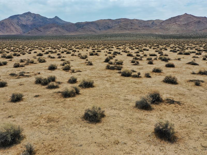 Buried Booty : Boron : San Bernardino County : California