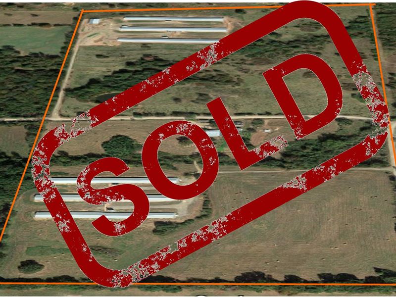 Turkey Farm, 6 Houses, 80 AC : Scranton : Johnson County : Arkansas