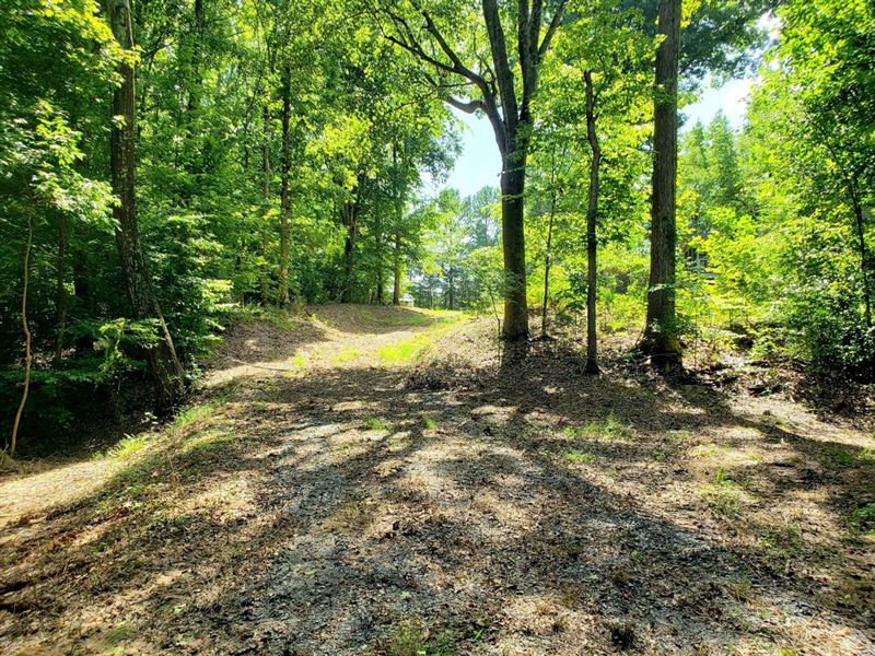 13.88 Acres Off W Oak Drive, Roc : Rock Hill : York County : South Carolina