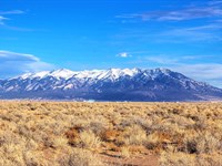 Build Ready Land with Mountain View : Alamosa : Colorado