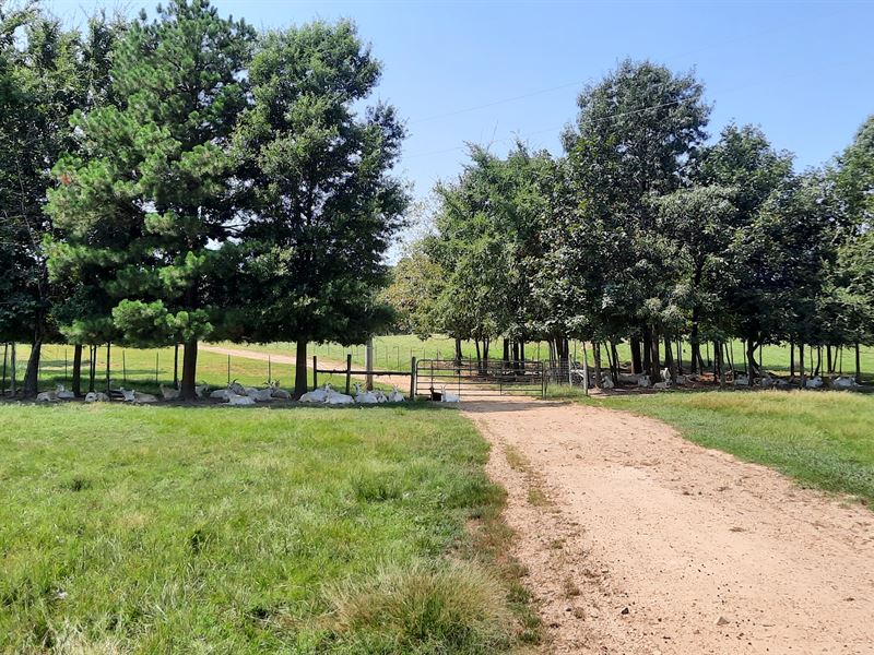 Goat Farm for Sale, Ranch for Sale in Oklahoma, 290599 RANCHFLIP