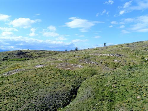 40 Acres Homesite, Off-Grid : Tonasket : Okanogan County : Washington