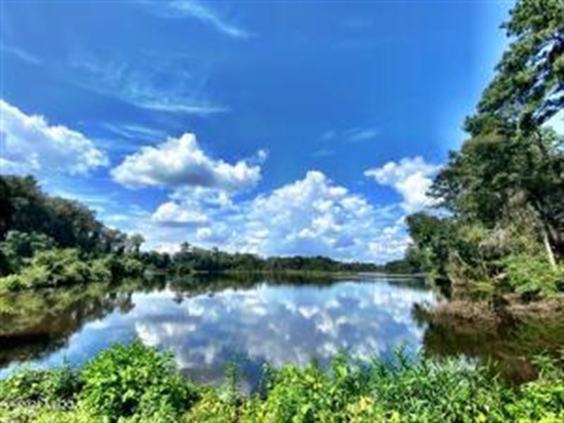 Gorgeous Estate Property : Kathleen : Houston County : Georgia