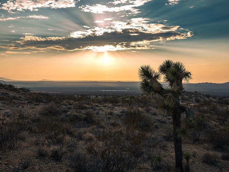 Shadow Mountain, CA : Adelanto : San Bernardino County : California