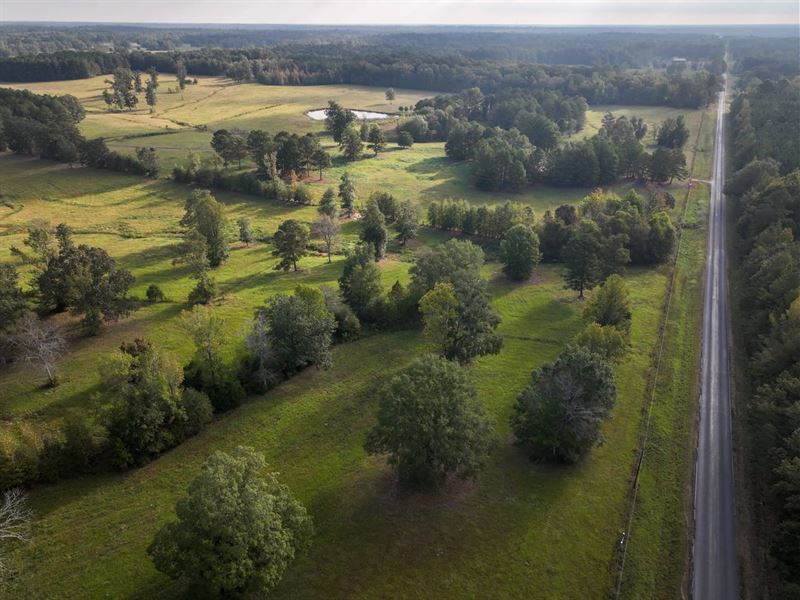 Beautiful Pasture 196 Acres in Chic : Houston : Chickasaw County : Mississippi