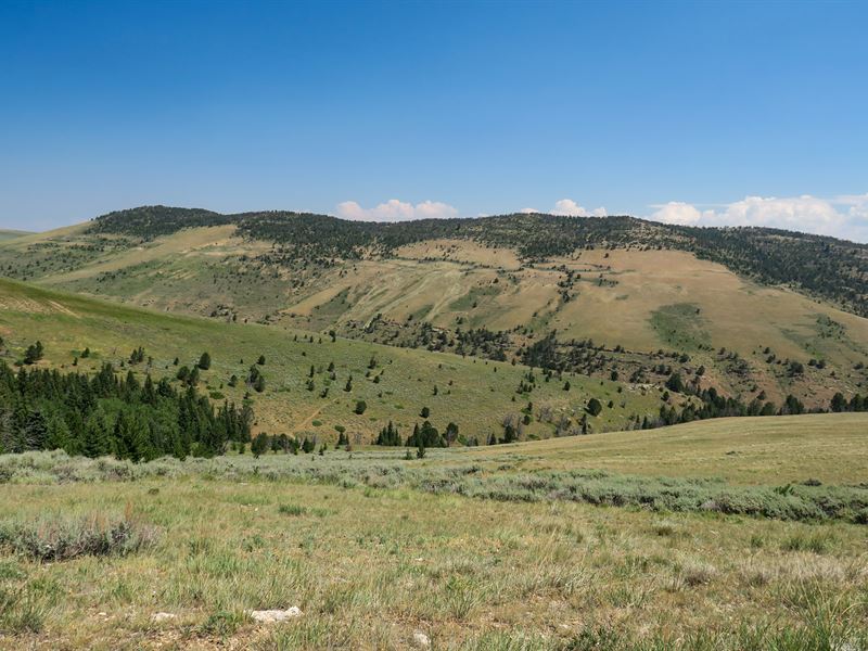 Ellis Sheep Company Ranch, Ranch for Sale in Wyoming, 291349 RANCHFLIP
