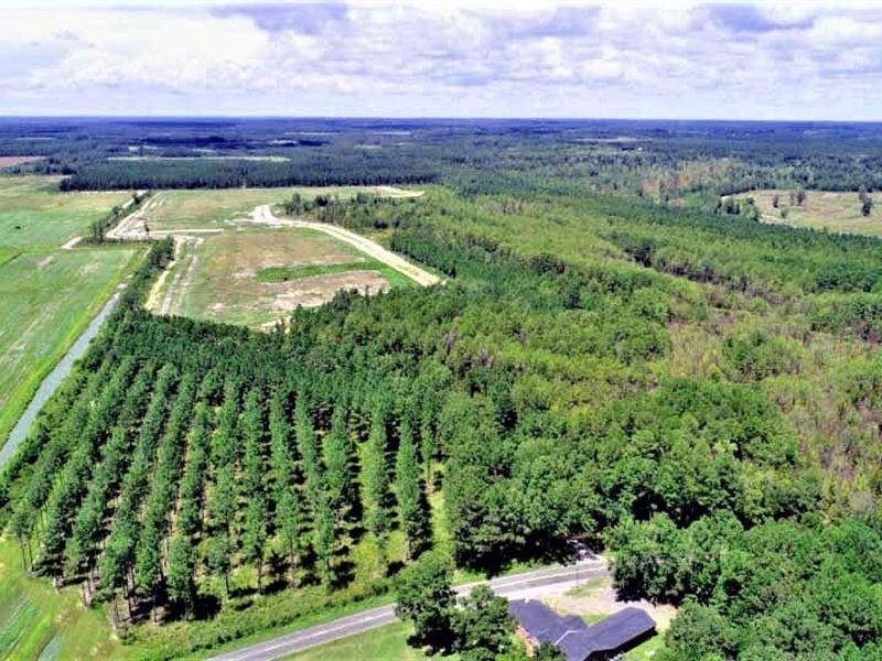 193 Acres with Duck Impoundment : Summerton : Clarendon County : South Carolina