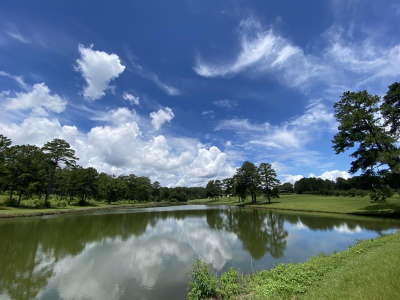Circle N Farm, Salem, AL : Salem : Lee County : Alabama