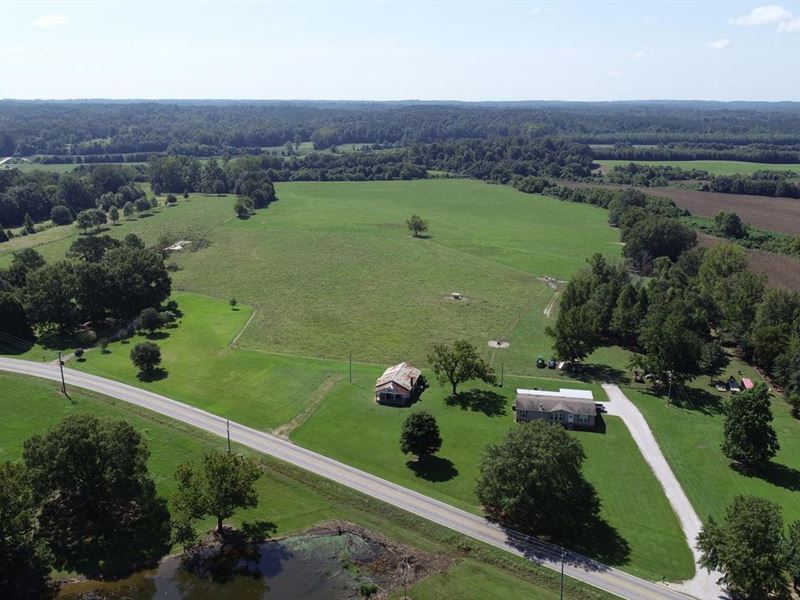 44 Acres. Hwy 342, Pontotoc, MS : Pontotoc : Pontotoc County : Mississippi