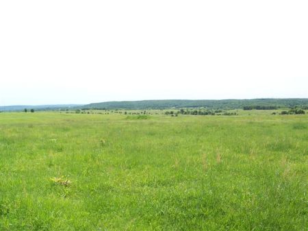 Ponderosa Ranch in Cherokee County : Tahlequah : Cherokee County : Oklahoma