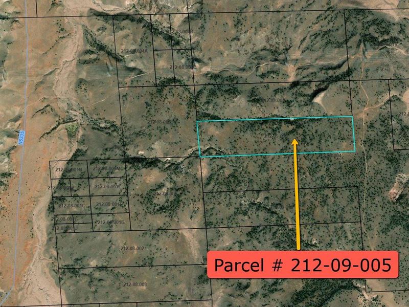 Apache County Gis Parcel Map 40 Acres Ne Of Concho, Az : Ranch For Sale By Owner In Concho, Apache County,  Arizona : #291735 - Ranchflip