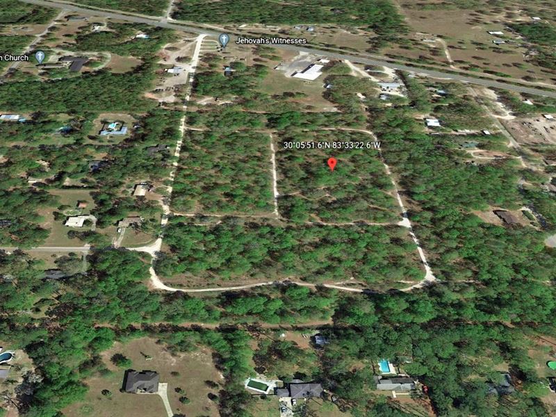Stunning Land Parcel of Your Dreams : Perry : Taylor County : Florida