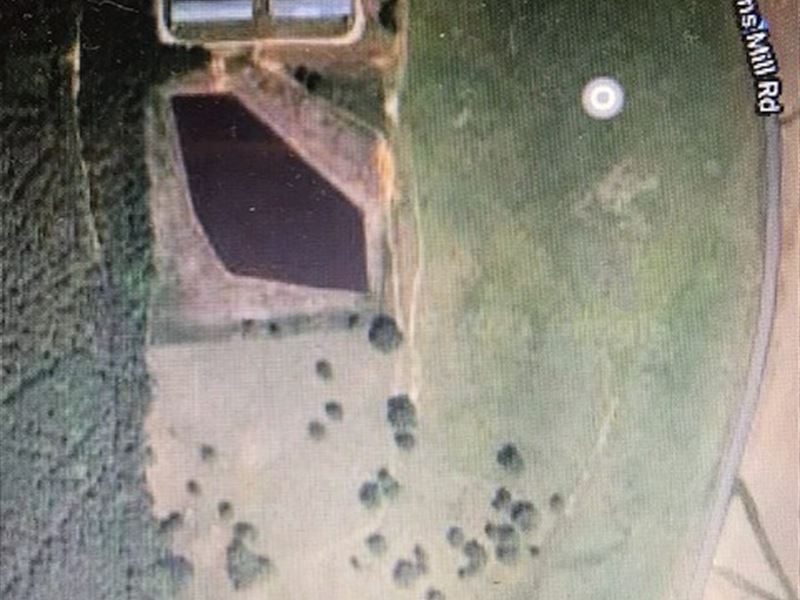 Hog Farm for Sale, Be Your Own Boss : Castalia : Franklin County : North Carolina