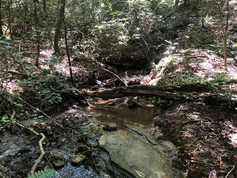 Mountain Creek Private Acreage : Westminster : Oconee County : South Carolina